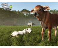 Xbox Farming Simulator 25: Beans & Alpacas Edition - 1581123 - zdjęcie 4