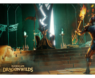 PlayStation RuneScape Dragonwilds - 1581100 - zdjęcie 2