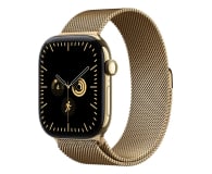 Apple 46mm Radiant Gold Milanese Loop - M/L - 1594146 - zdjęcie 2