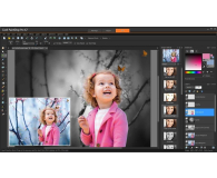 Corel PaintShop Pro X7 Ultimate ENG miniBox - 212261 - zdjęcie 5