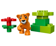 LEGO DUPLO Zwierzątka - 282648 - zdjęcie 4